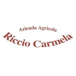 Azienda Agricola Riccio Carmela, Castelfranco in Miscano orari di apertura