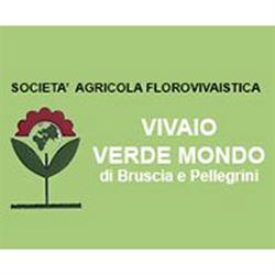 Vivaio Verde Mondo, Borgo Santa Maria orari di apertura