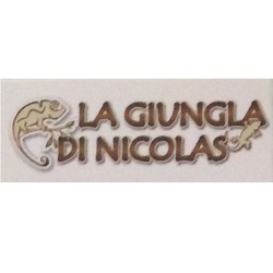 La Giungla di Nicolas, Massafra orari di apertura
