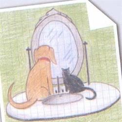 La Toletta - Toelettatura Animali, Bergamo orari di apertura