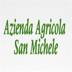 Azienda Agricola San Michele - Frantoio Tradizionale a Freddo, Fisciano orari di apertura