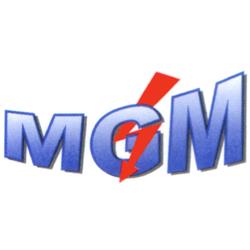 Mgm Impianti Elettrici, Sinalunga orari di apertura