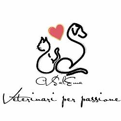 Centro Veterinario Salema, Terni orari di apertura