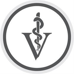 Clinica Veterinaria, Mortara orari di apertura