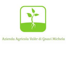 Azienda Agricola Valèr, Barone Canavese orari di apertura