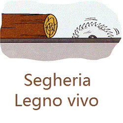 Legno Vivo Alta Valle, Vione orari di apertura