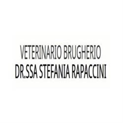 Studio Veterinario Rapaccini, Brugherio orari di apertura