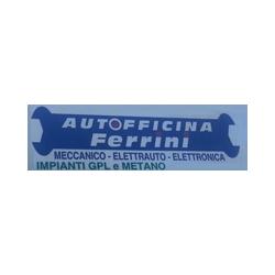 Autofficina Ferrini s.n.c. di Luigi Giancarlo Raspanti Luca Ferrini, Faenza orari di apertura