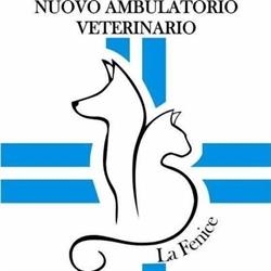 Nuovo Ambulatorio La Fenice Dottoressa Miglietta - Dottoressa Terenziani, Castelnovo ne' Monti orari di apertura
