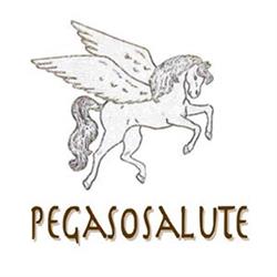 Pegaso Salute, Pesaro orari di apertura
