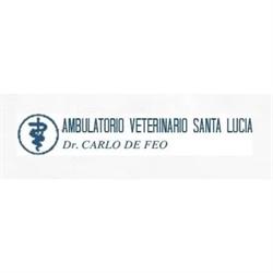 Clinica Veterinaria Santa Lucia, Perugia orari di apertura