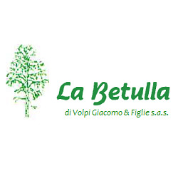 La Betulla Sas, Terno d'Isola orari di apertura