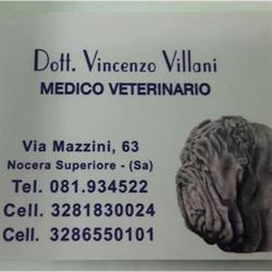 Centro Medico Veterinario Villani Dr. Vincenzo, Nocera Superiore orari di apertura
