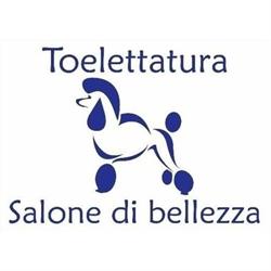 Toelettatura Salone di Bellezza, Napoli orari di apertura