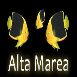 Alta Marea - Tutto per L'Acquariologia, Cava de' Tirreni orari di apertura