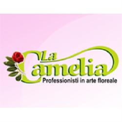 La Camelia di Migliore Salvatore, Gela orari di apertura
