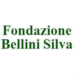 Fondazione Bellini Silva, Gravellona Lomellina orari di apertura