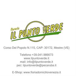 Fioreria Il Punto Verde, Venezia orari di apertura
