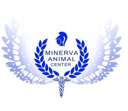 Minerva Animal Center, Pomezia orari di apertura