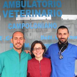 Ambulatorio Veterinario Campoloniano, Rieti orari di apertura