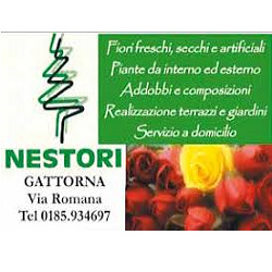 Nestori Fiori, Moconesi orari di apertura