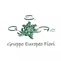 Gruppo Europeo Fiori, Roma orari di apertura