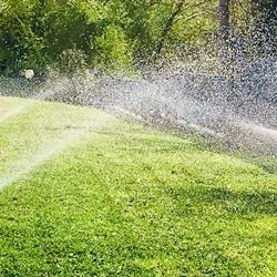 Gts Giardinaggio, Trieste orari di apertura