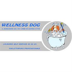 Wellness Dog, Udine orari di apertura