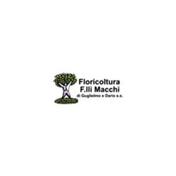 Floricoltura F.lli Macchi, Sesto Calende orari di apertura