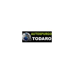 Autospurghi Todaro, Messina orari di apertura