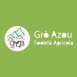 Grò Azou - Latte D'Asina - Allevamento e Vendita Asini Martinesi, Groscavallo orari di apertura
