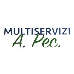 Multiservizi A.Pec, Roma orari di apertura