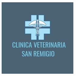 Clinica Veterinaria S. Remigio, Formia orari di apertura