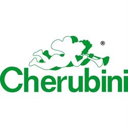 Cherubini Strumenti Musicali Roma, orari di apertura