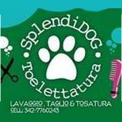 Splendidog, Vasto orari di apertura