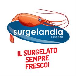Surgelandia, Fisciano orari di apertura