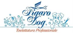 Figaro Dog, Torino orari di apertura