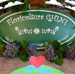 Ghini Floricoltura, Lugo orari di apertura