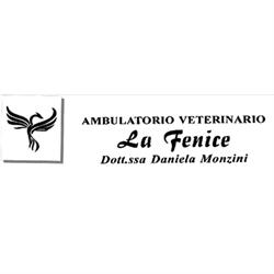 Ambulatorio Veterinario La Fenice, Sustinente orari di apertura