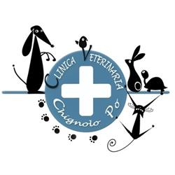Clinica Veterinaria Chignolo Po, orari di apertura