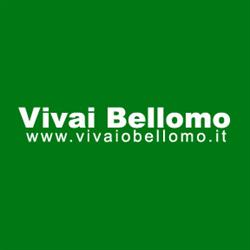 Vivai Bellomo, Atena Lucana orari di apertura
