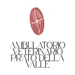 Ambulatorio Veterinario Prato Della Valle, Padova orari di apertura