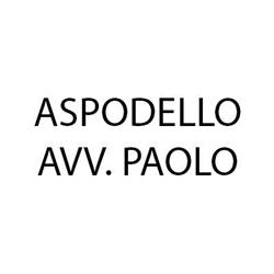 Studio Legale Commercialistico Aspodello-Zadra-Dolif, Feltre orari di apertura