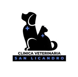 Clinica Veterinaria San Licandro, Messina orari di apertura