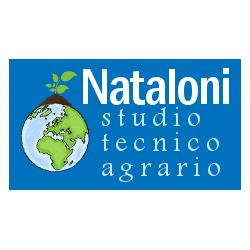Studio Tecnico Agrario Nataloni, Ariccia orari di apertura