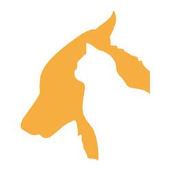 Centro Veterinario Dott.ssa Silvia Bucalossi, Vaiano orari di apertura