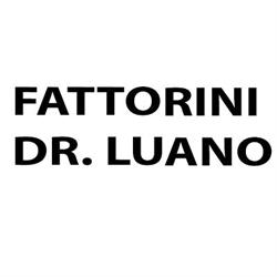 Fattorini Luano (Dr.) Livorno, Centro (Vicinanze Del Duomo) - Orari di apertura
