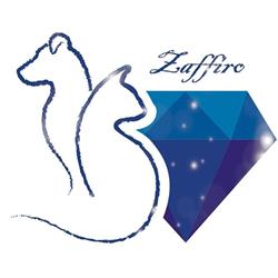 ZAFFIRO ANIMALI DI VALENTINA GARBINI, Roma orari di apertura