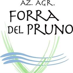 AZ.AGR. FORRA DEL PRUNO DI MENICHETTI MATTEO, Lamporecchio orari di apertura