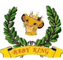 BABY KING DI FERREIRA ISABELLE MARIA, Busalla orari di apertura